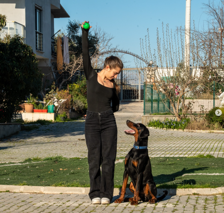 Asena S. Akpınar
